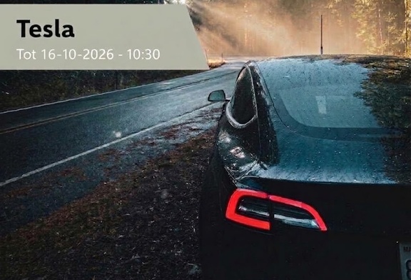 Afbeelding van Tesla