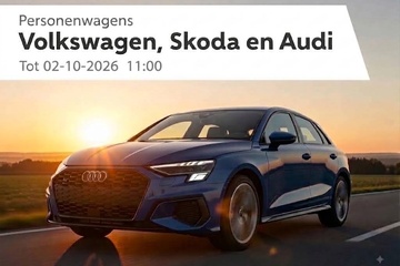 Image of VW – AUDI – SKODA 2/10