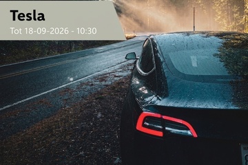 Afbeelding van Tesla