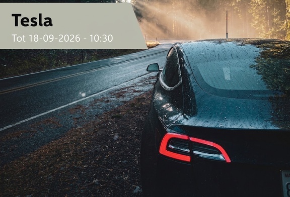 Afbeelding van Tesla
