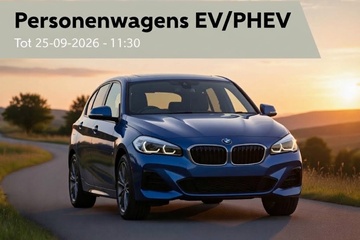 Image of Passenger cars (EV/PHEV)
