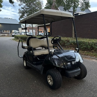 Afbeelding van Golfkar benzine 2008