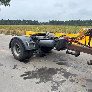 Afbeelding van dolly