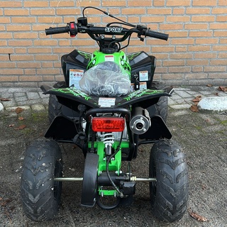 Afbeelding van Quad Raptor 110 CC