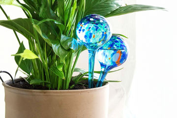 Afbeelding van Aqua·Loon Automatische Irrigatieballonnen – 2 Stuks | Slimme Plantenverzorging zonder Gedoe