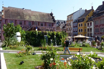 Afbeelding van 3 dagen stijlvol genieten in het hart van de Elzas (2 pers.) - inclusief ontbijt. Verblijf in La Maison Hotel Mulhouse *** - geldig tot 2028