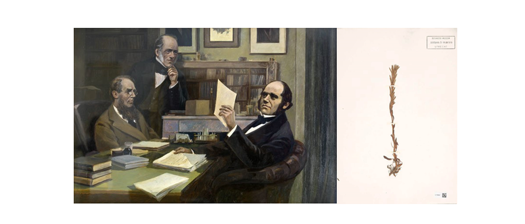 Joseph Charles en Charles