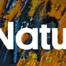 Naturalis natuurwijzer