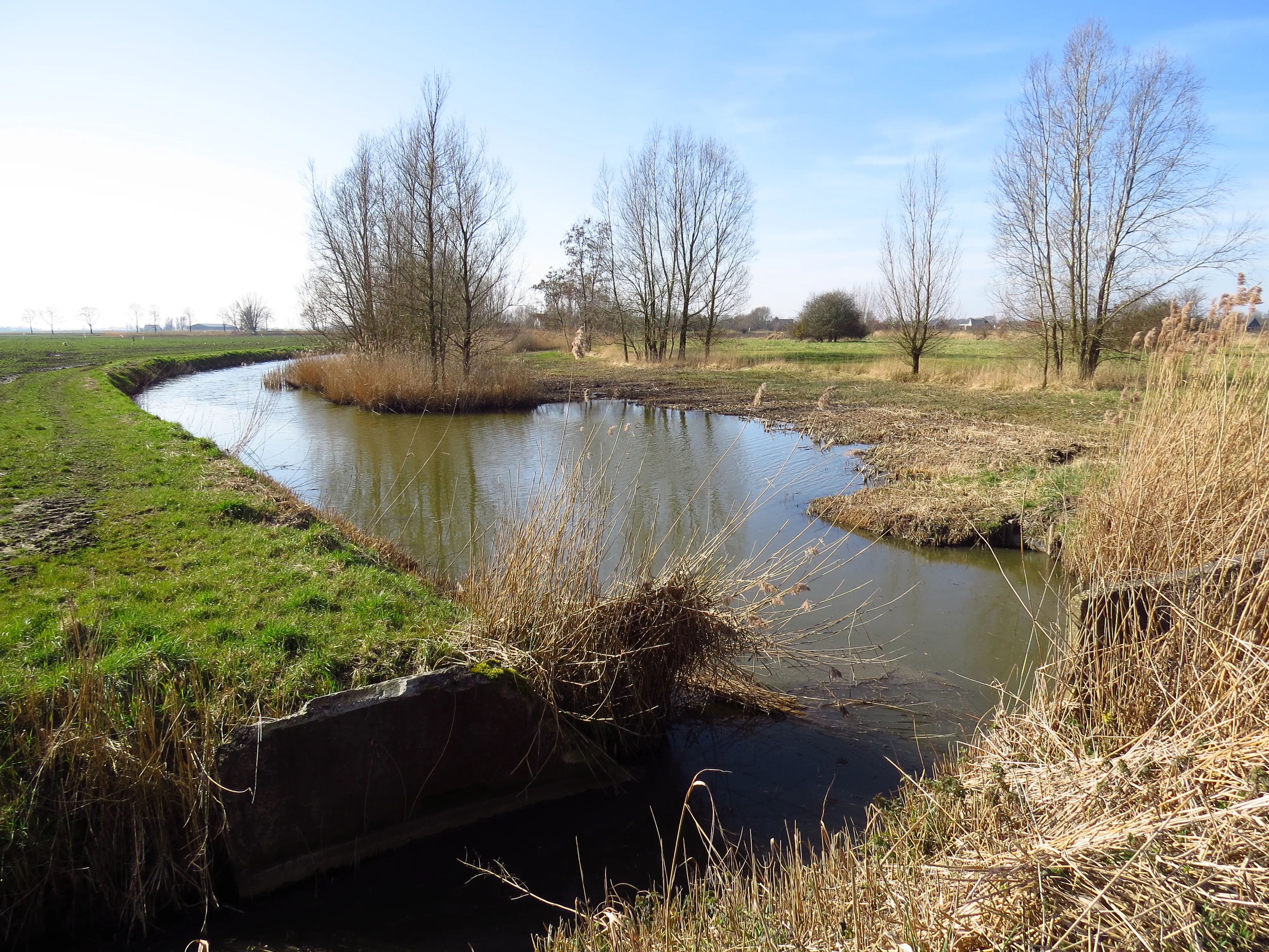 01 aangelegde stapsteen west van Schapenweg