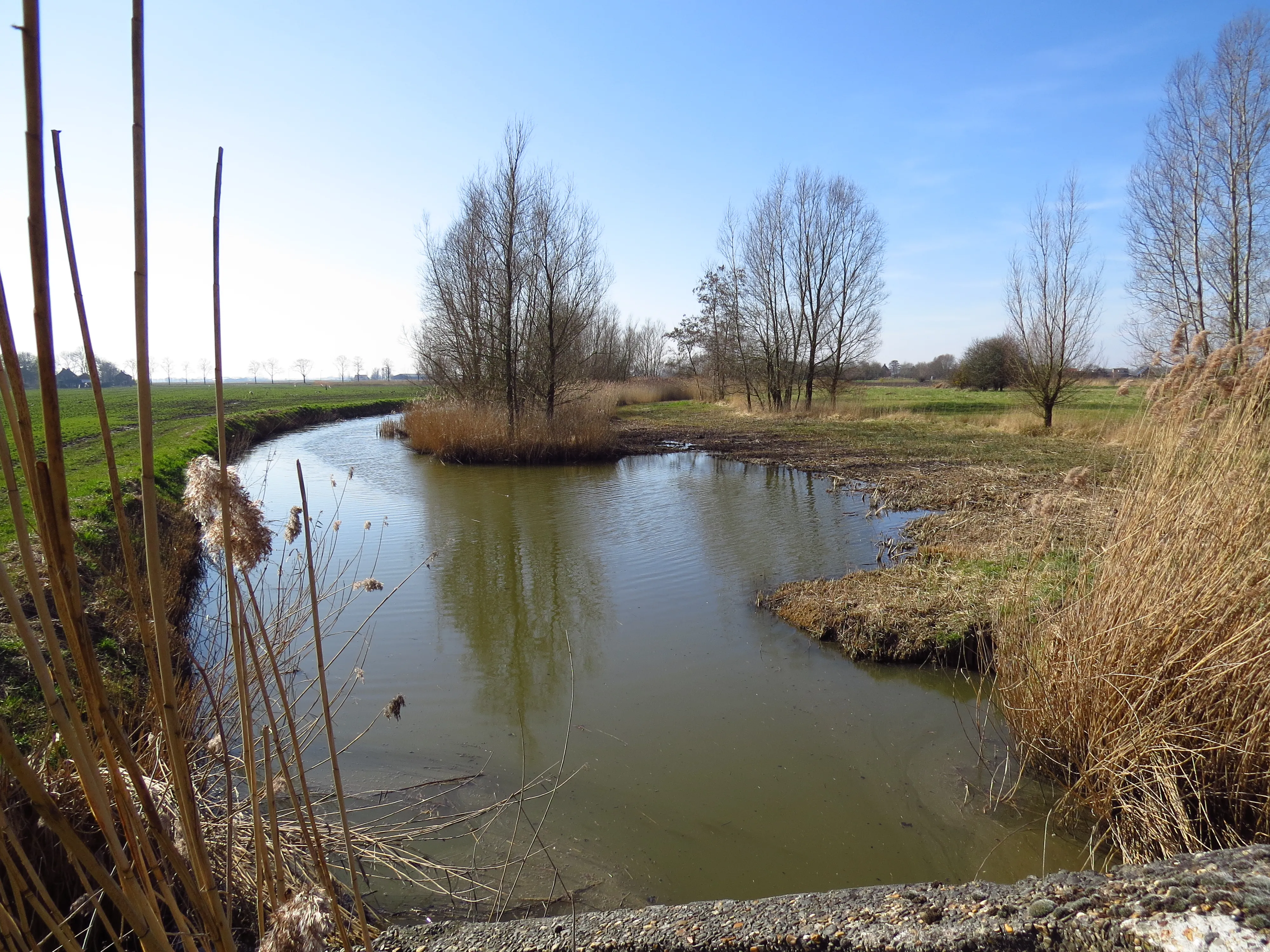 Aangelegde stapsteen west van Schapenweg