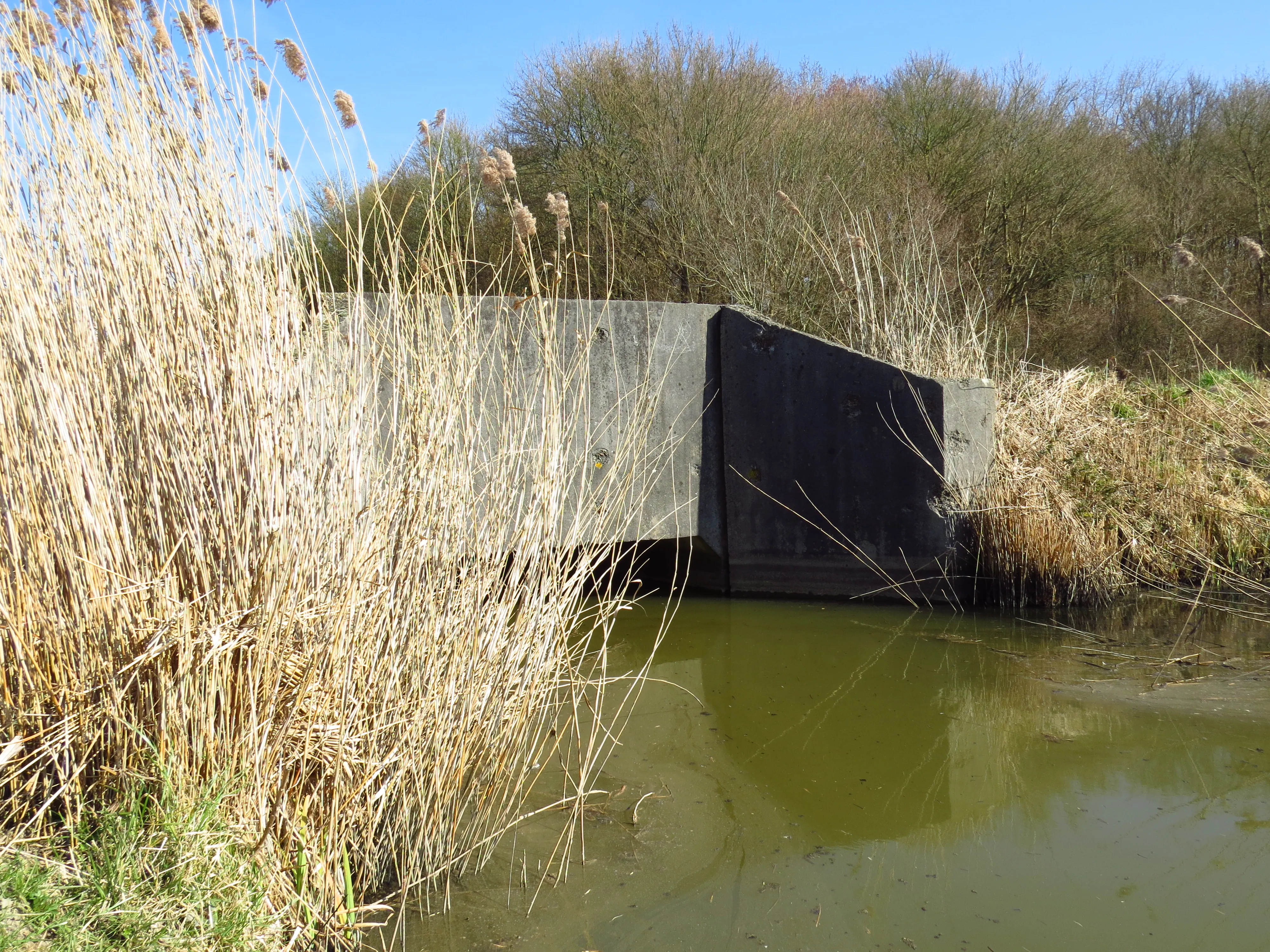Kruising Schaapsweg met watergang vanaf zijde stapsteen