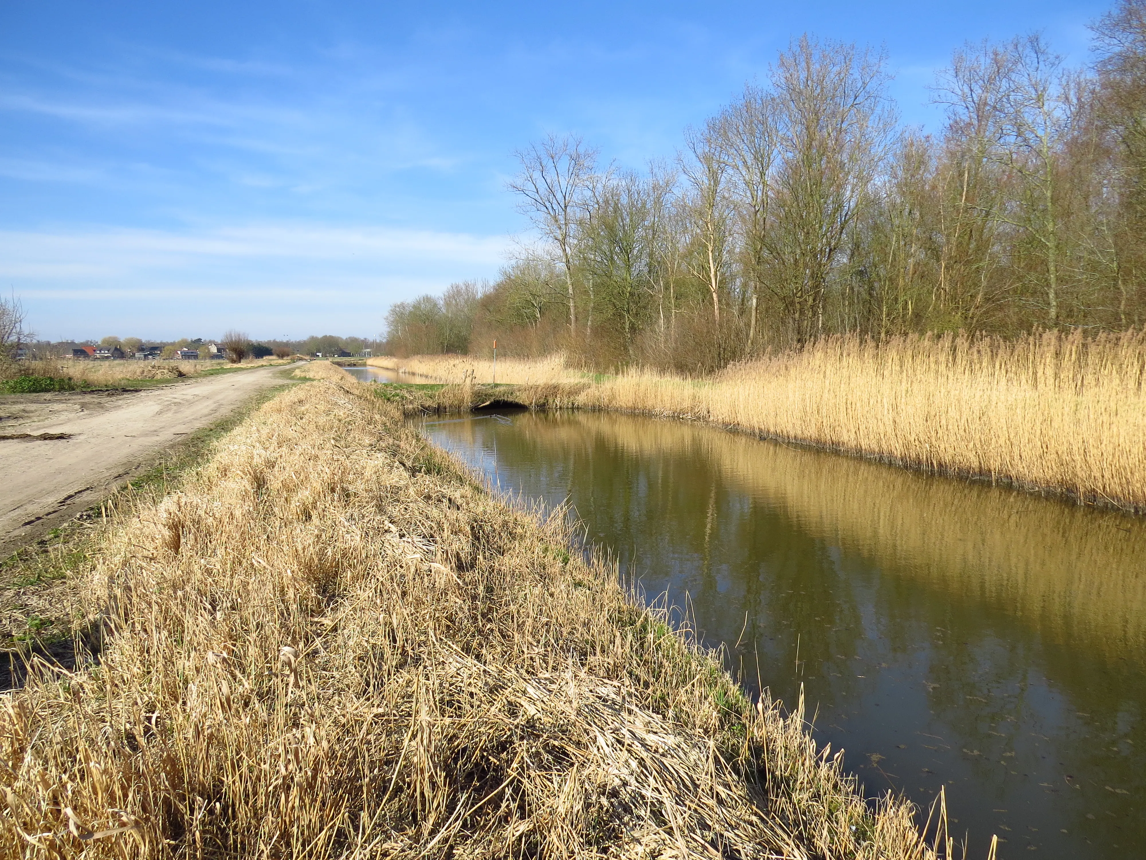 Oost van Schapenweg ri Noordschans