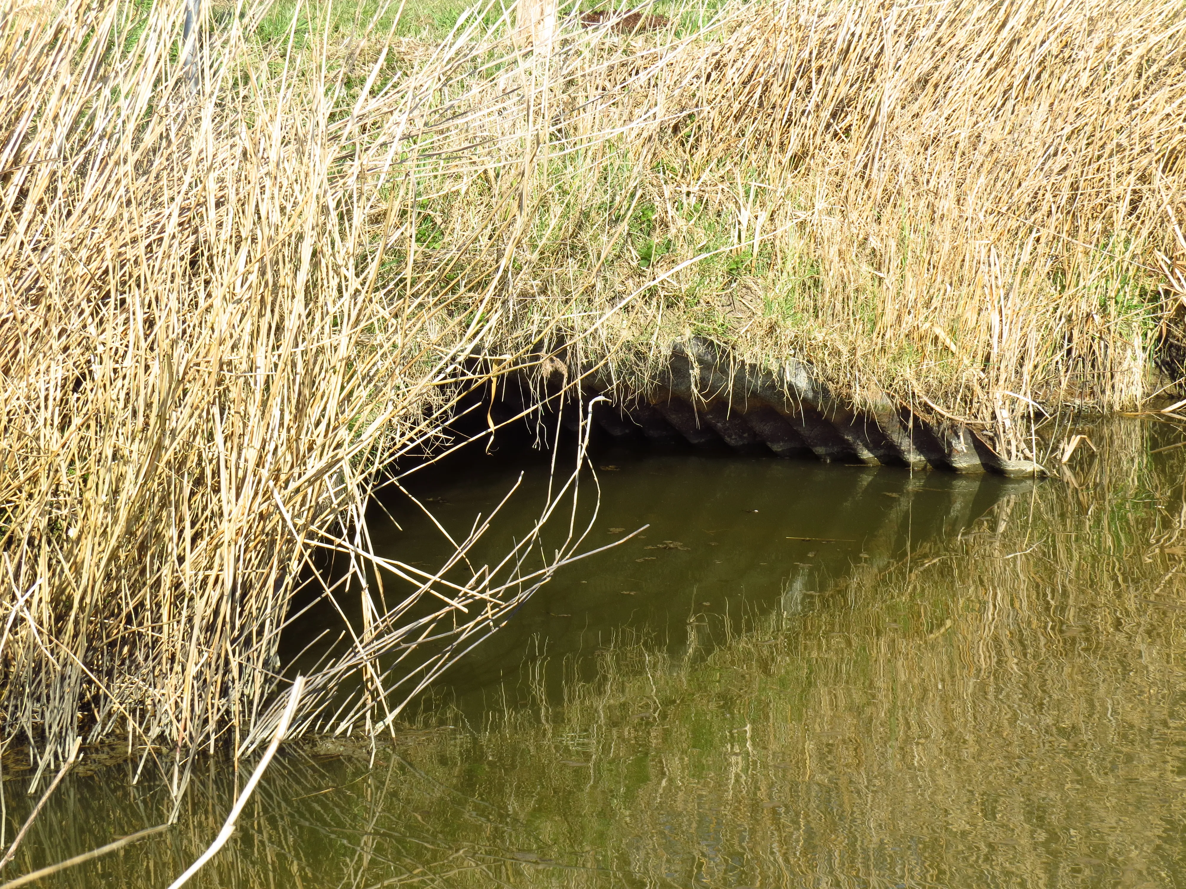 Doorgang onder Schapenweg naar Noordschans