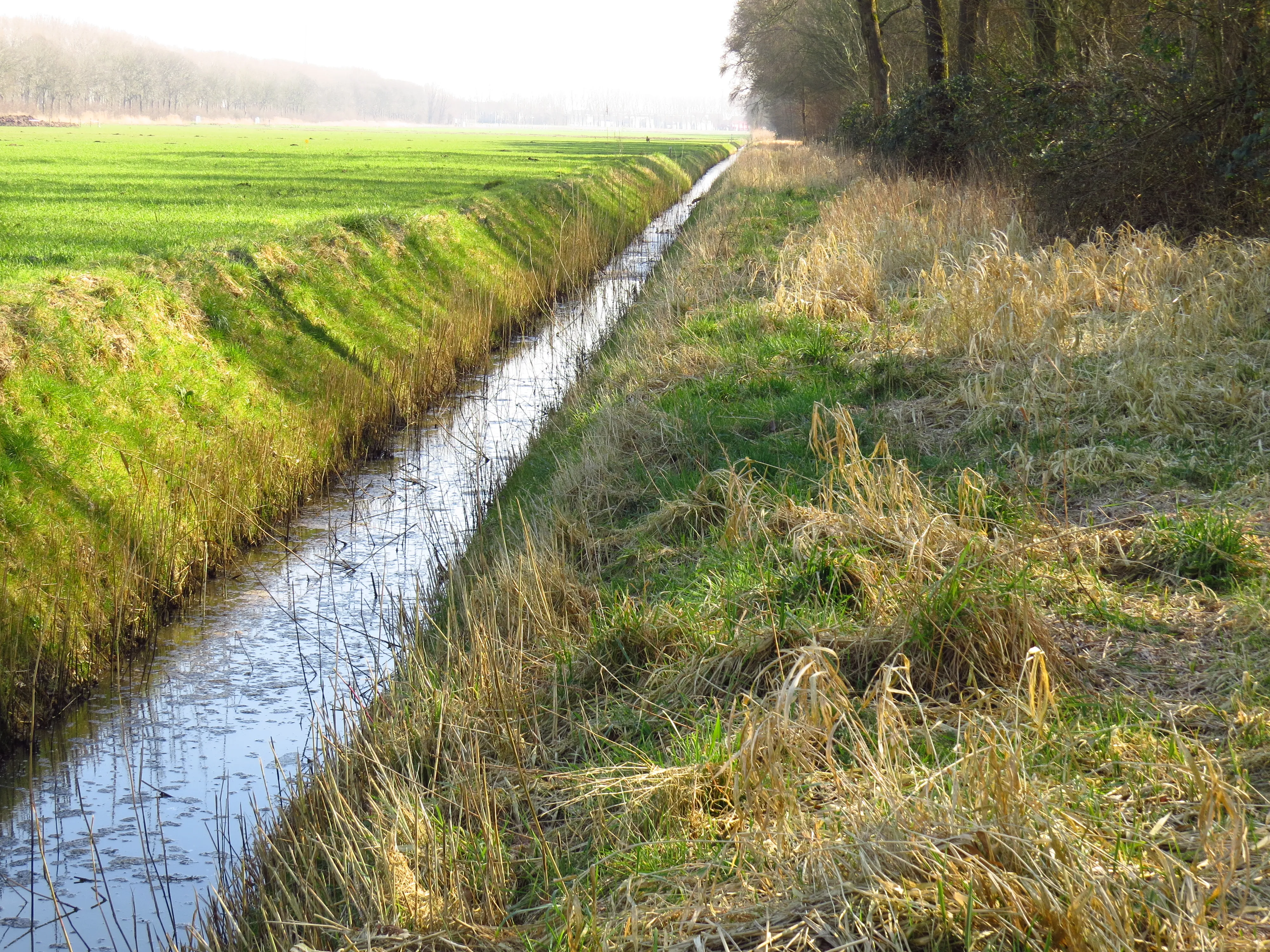Waterloop oost van groenstrook ri zuiden