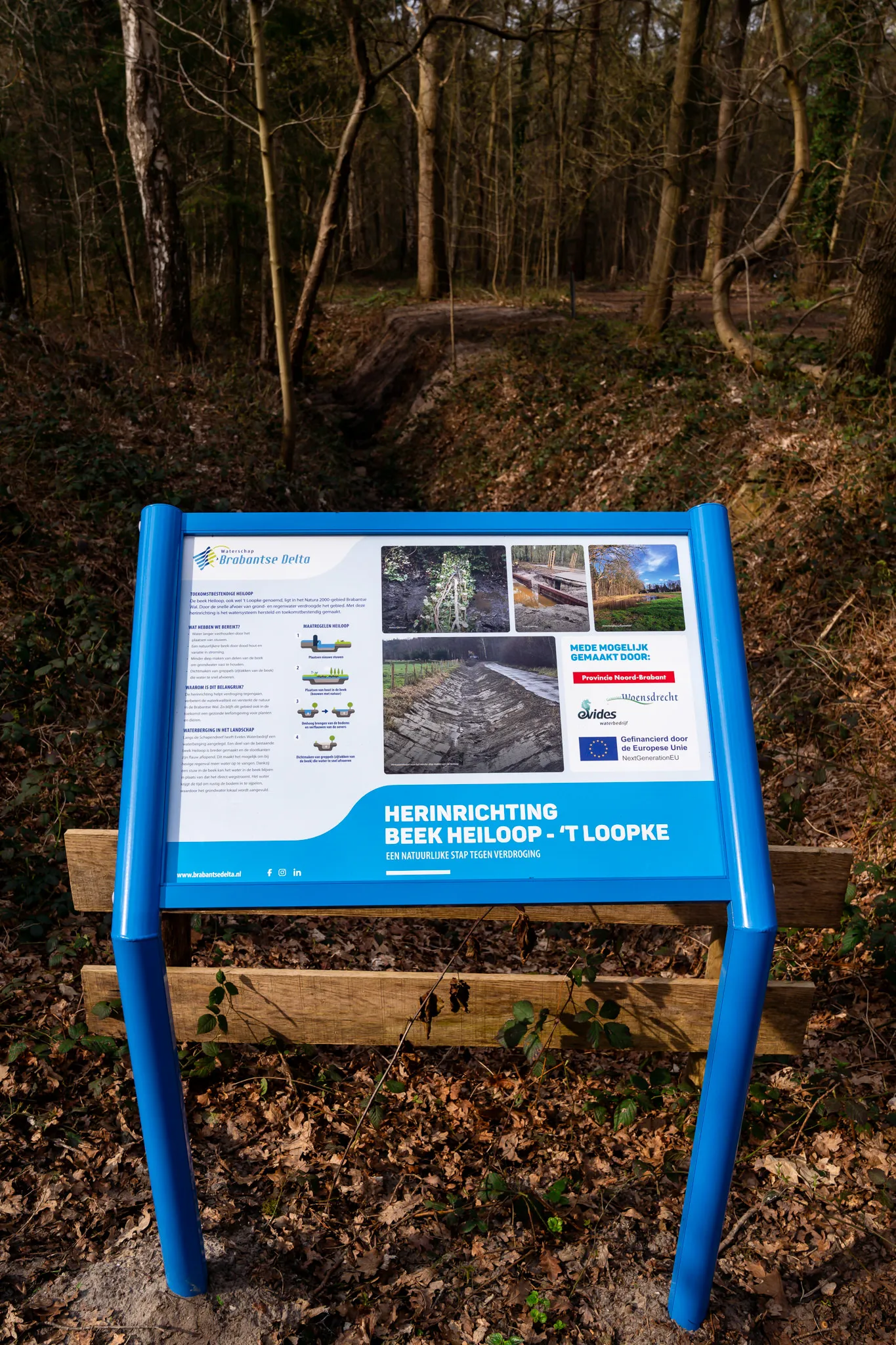 20260323 - Judith Adriaansen Fotografie_ 026