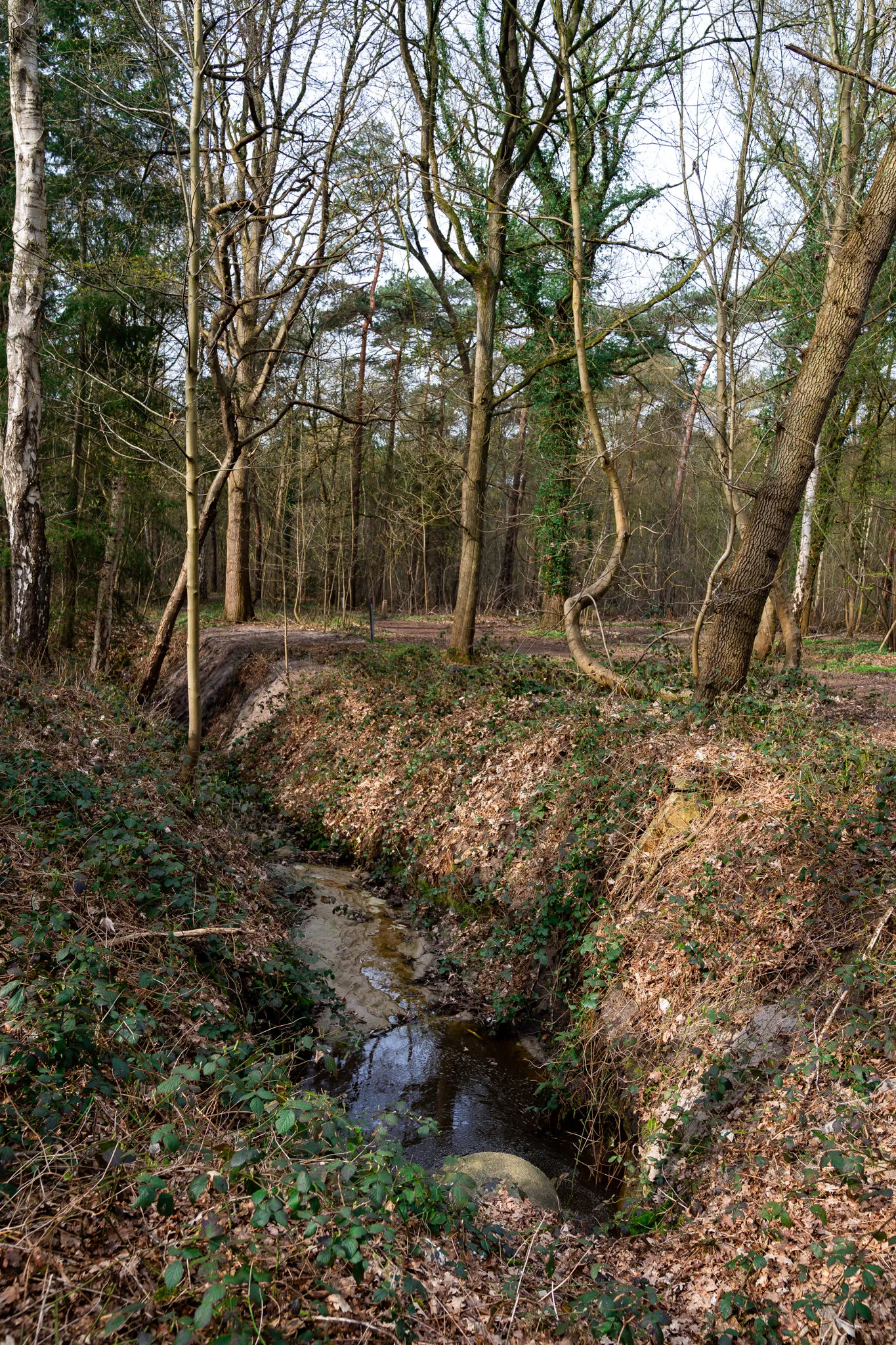 20260323 - Judith Adriaansen Fotografie_ 029