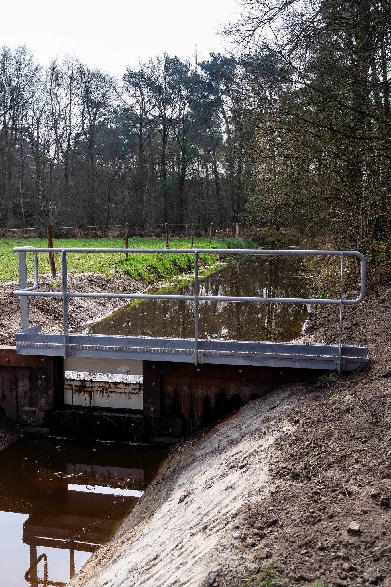 20260323 - Judith Adriaansen Fotografie_ 044 (1)