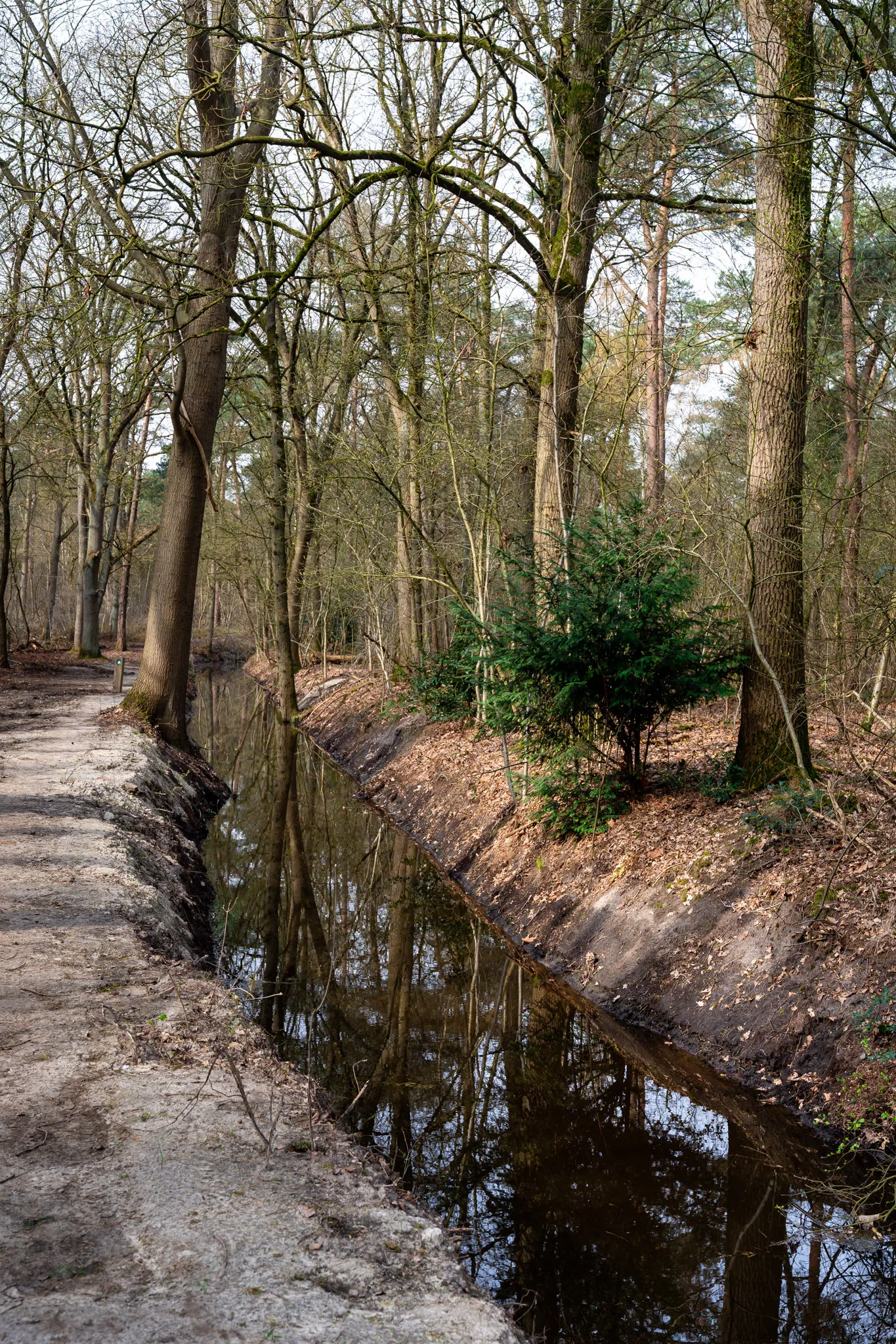 20260323 - Judith Adriaansen Fotografie_ 046 (1)