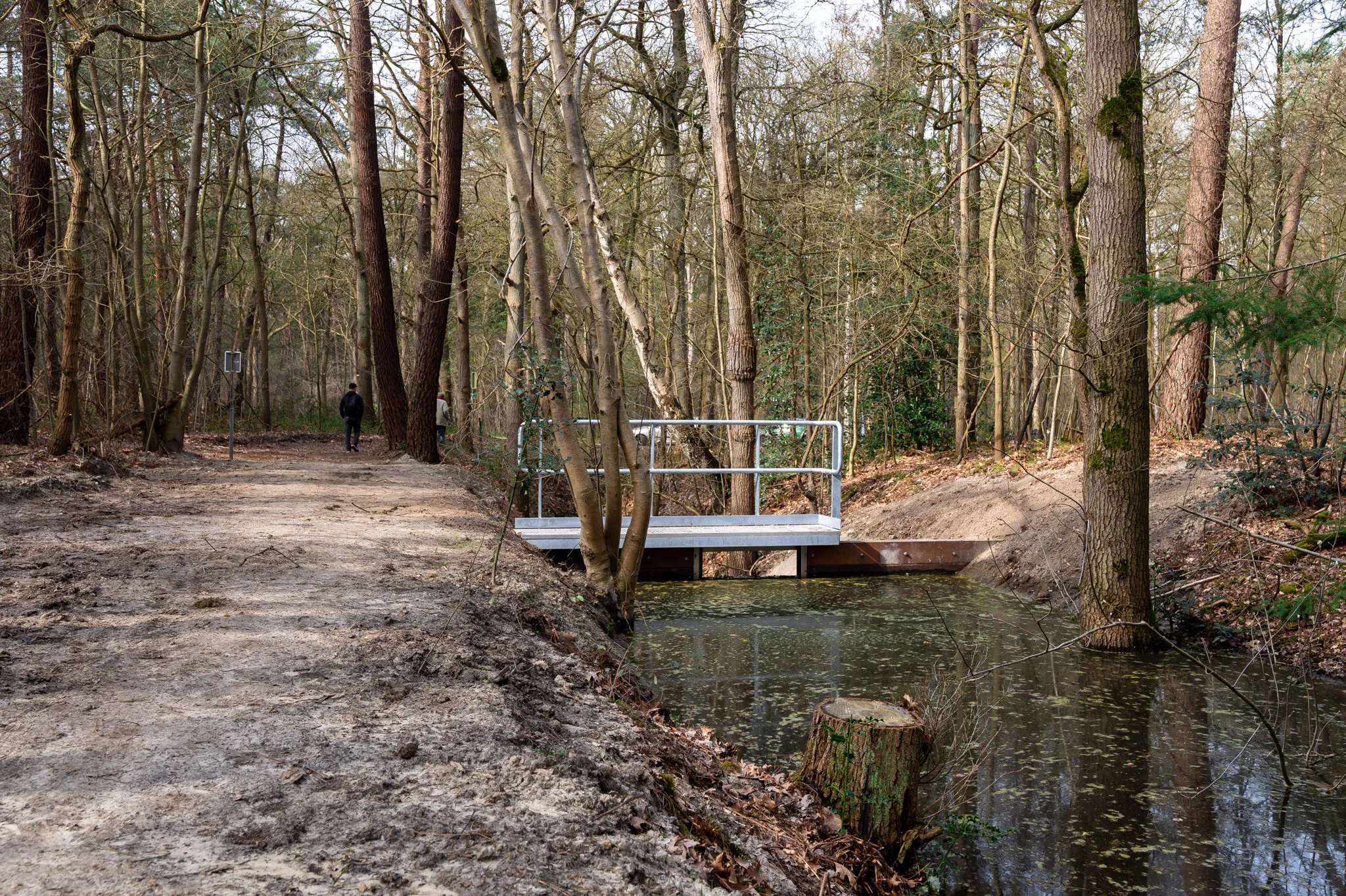 20260323 - Judith Adriaansen Fotografie_ 049