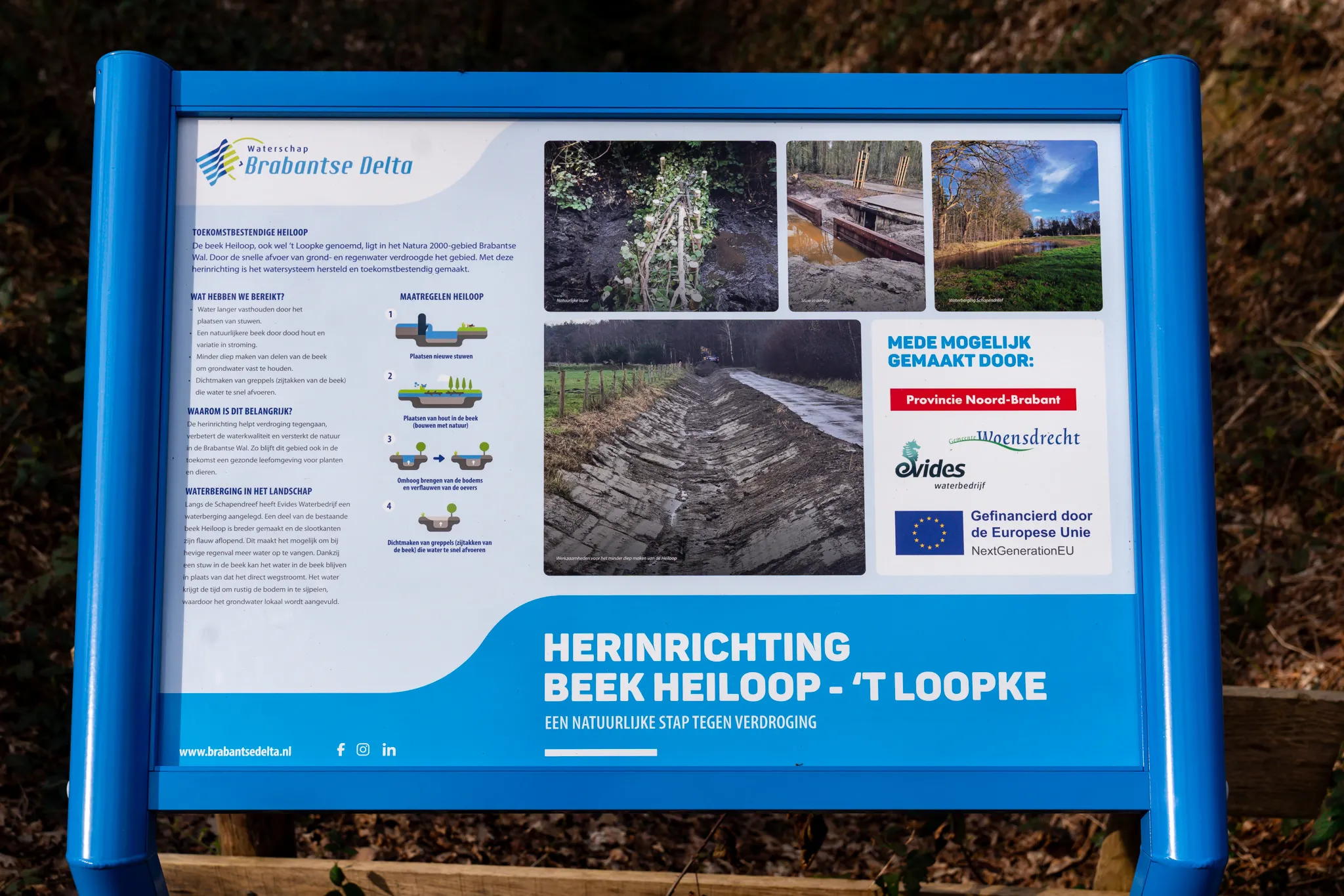 20260323_-_judith_adriaansen_fotografie_025_1