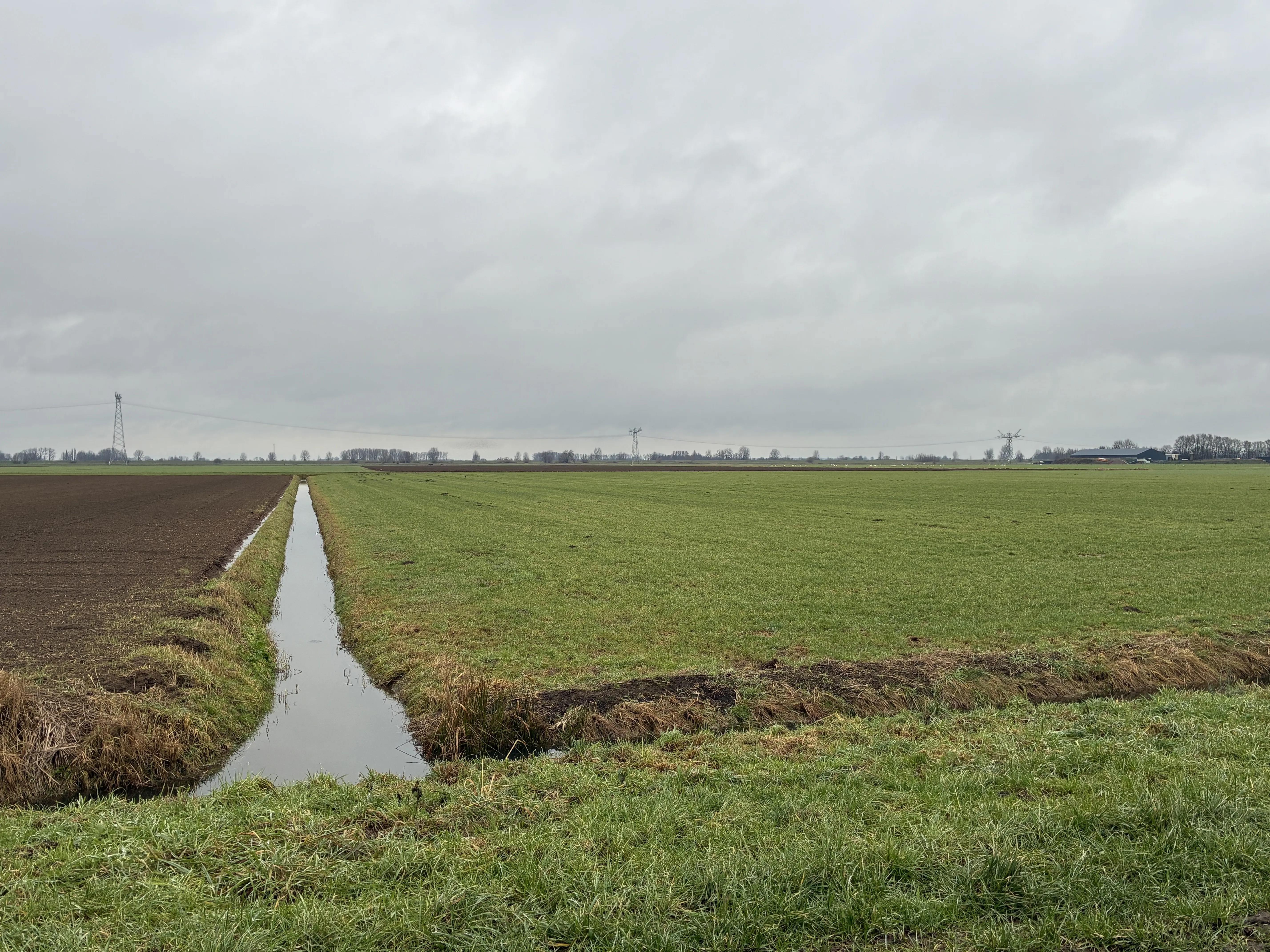 Capelsche Polder