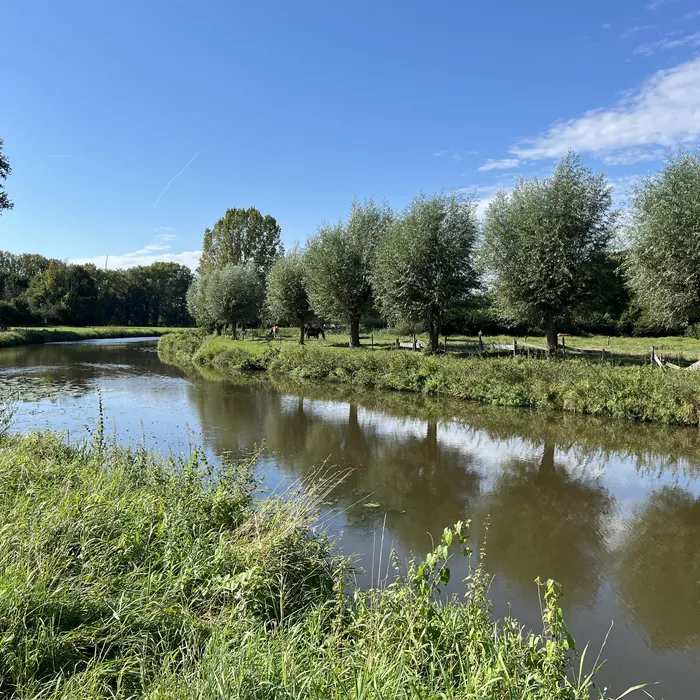Contact Herinrichting Markdal-Noord