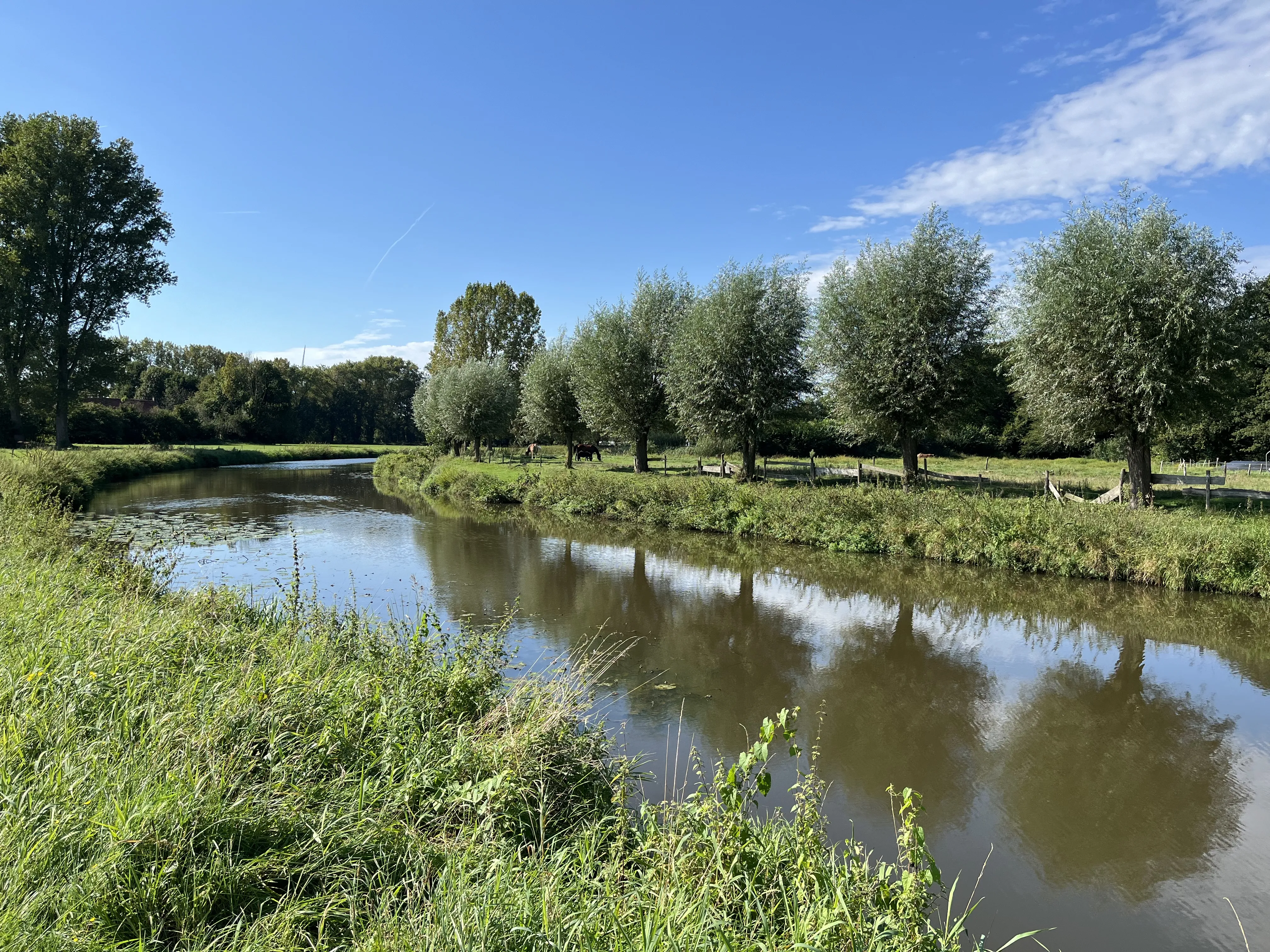 Contact Herinrichting Markdal-Noord