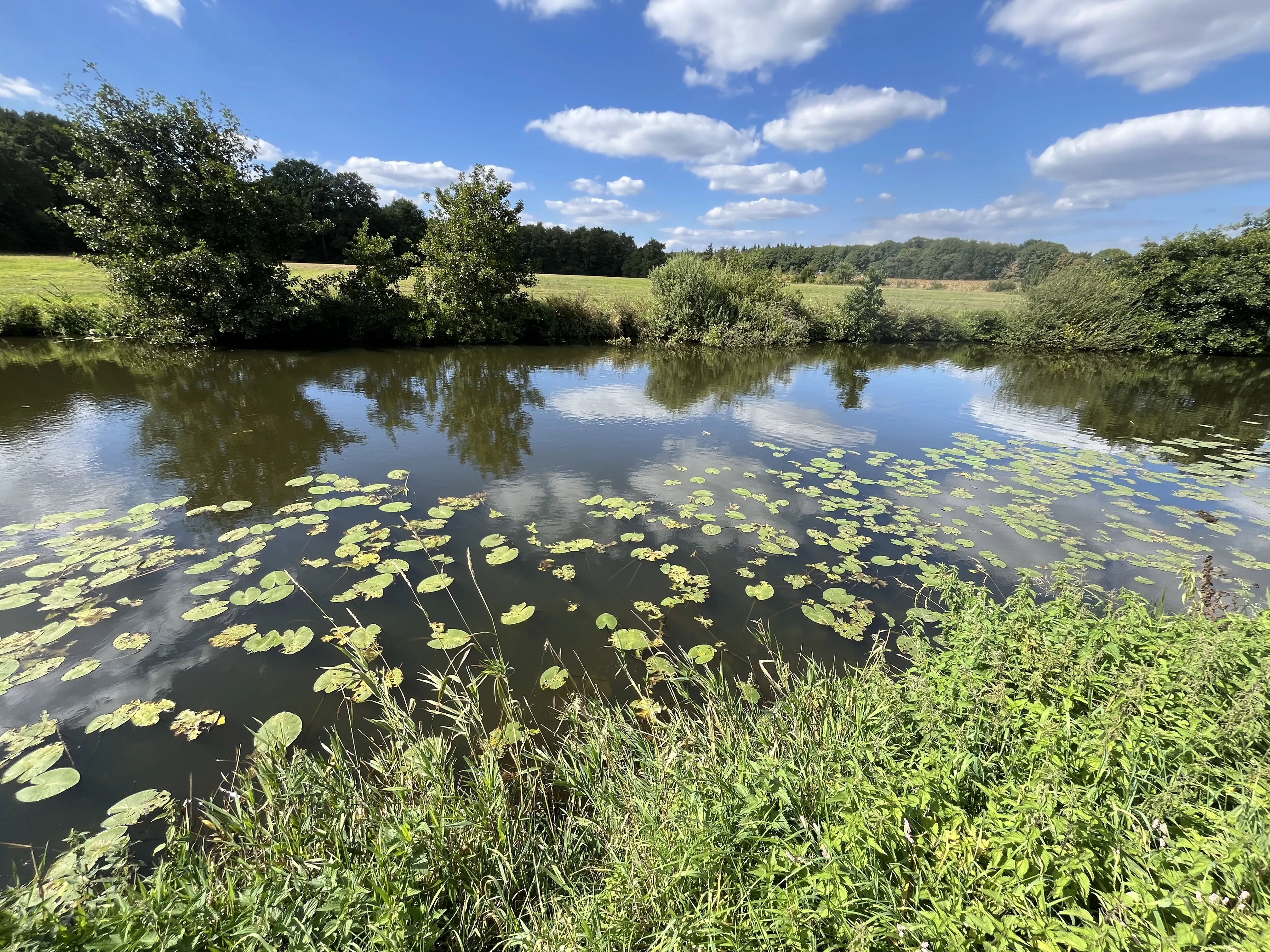 Beekherstel in het Markdal