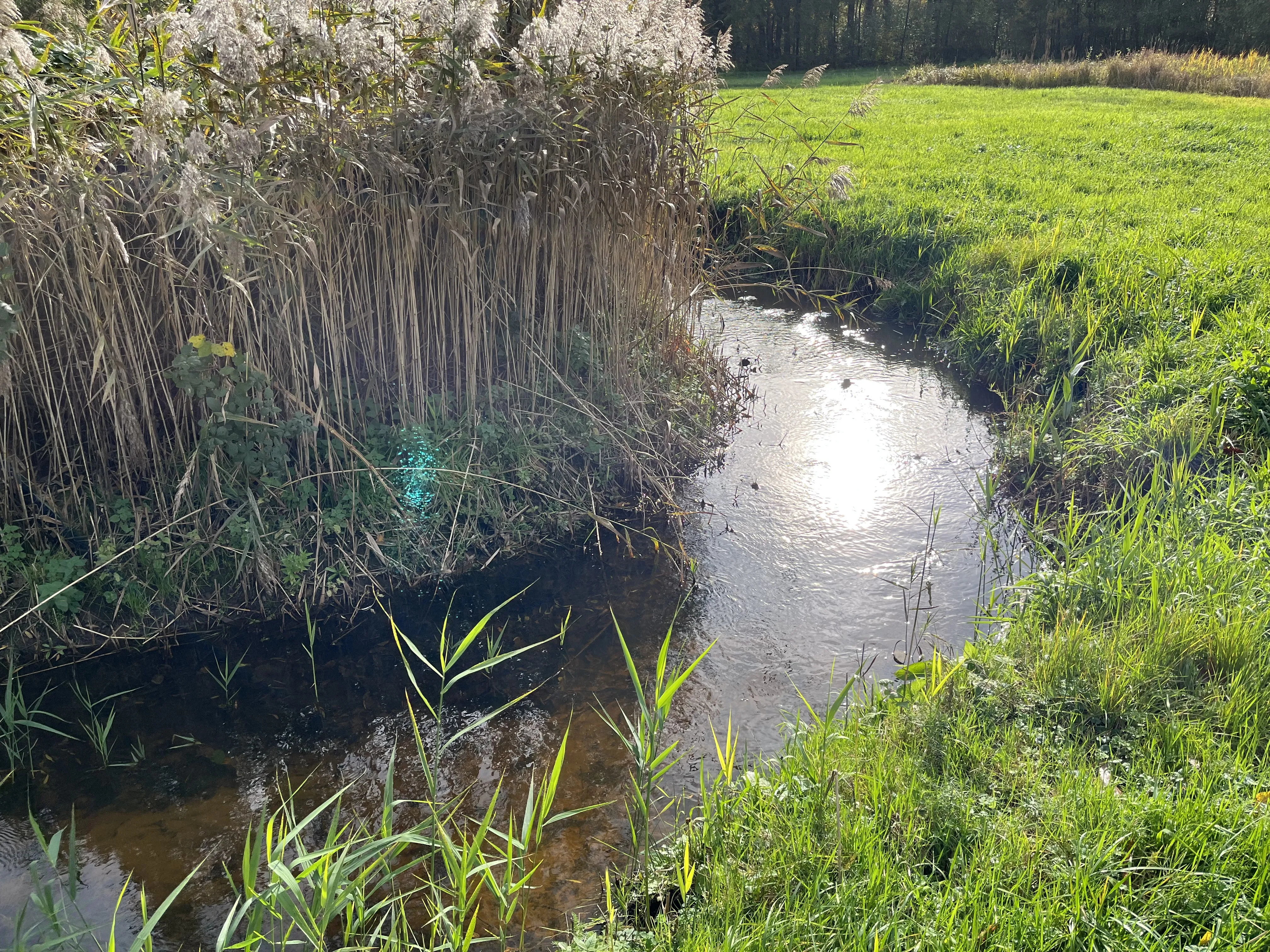 IMG_4627 - Merkske 2