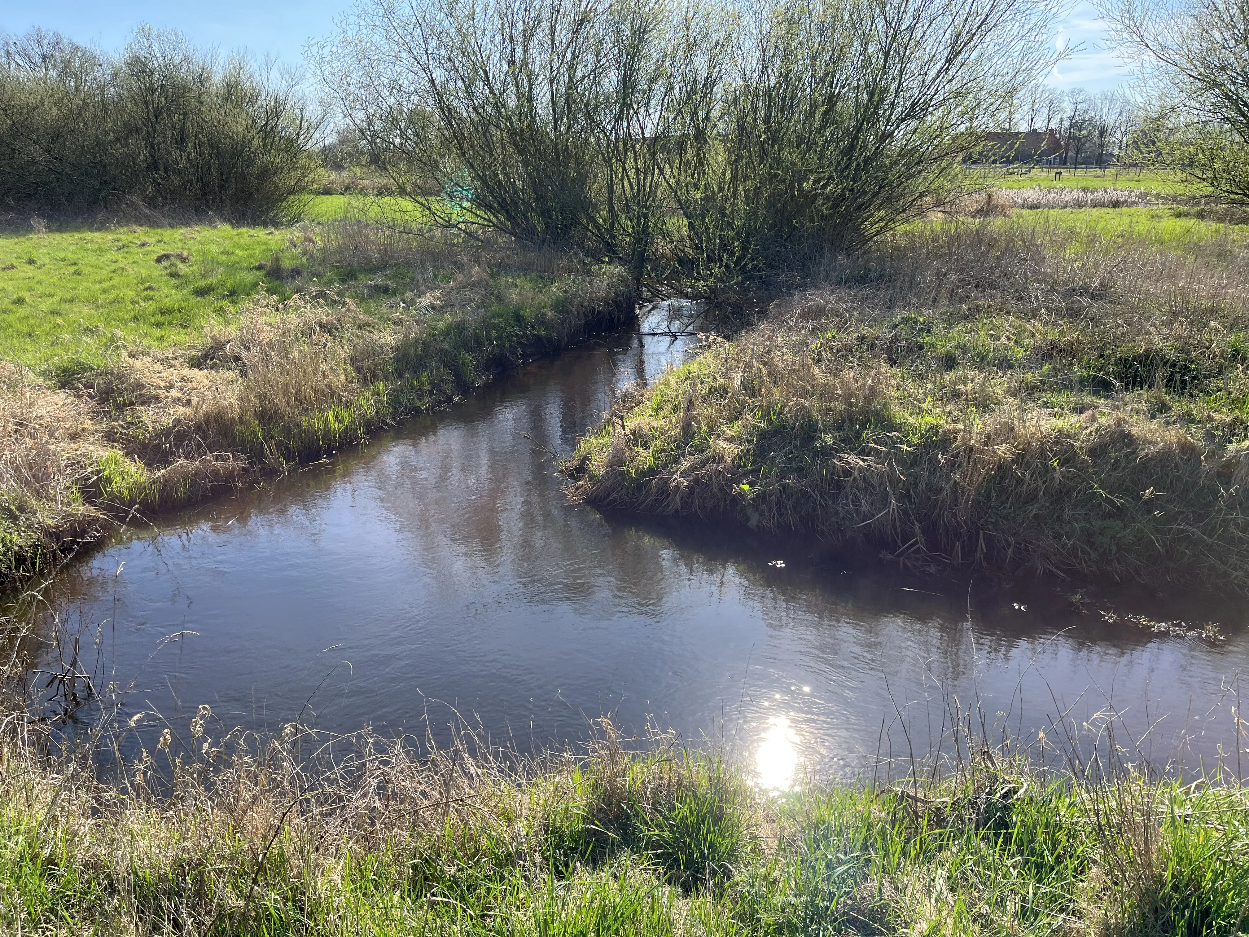 IMG_5044 - Chaamse Beek bij Ulvenhout