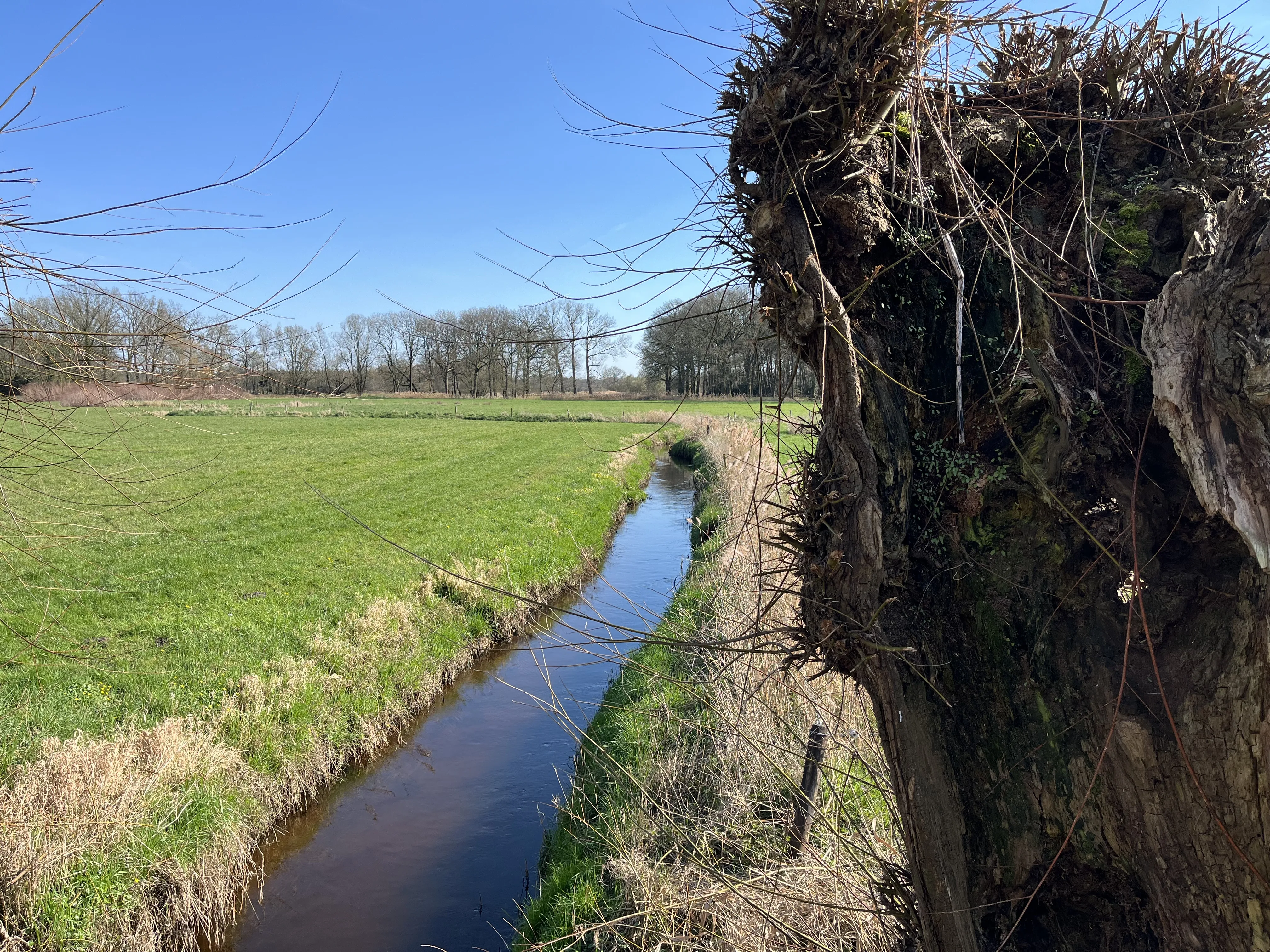 IMG_5071 - Chaamse Beek bij Couwelaer 2