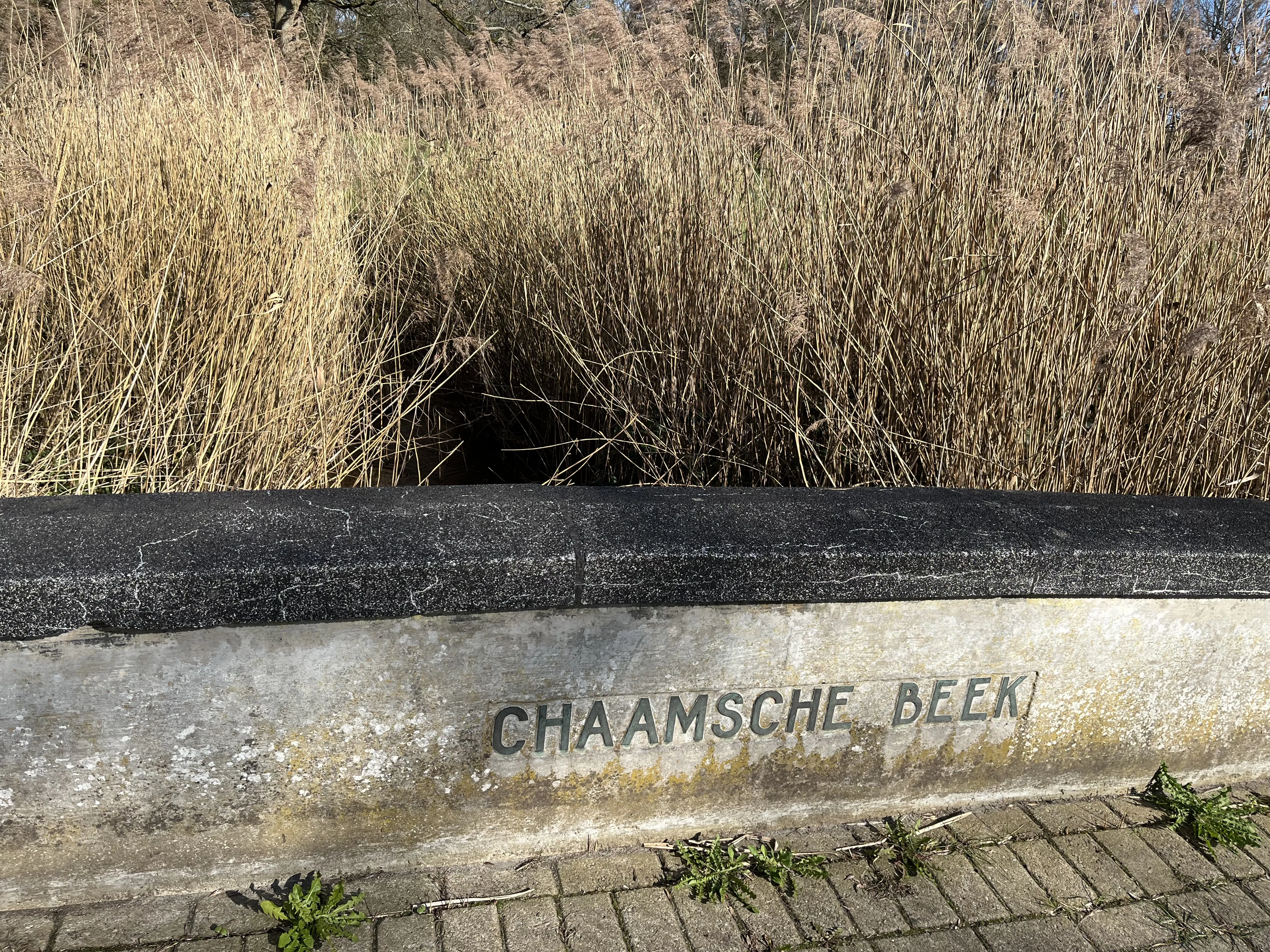 IMG_5086 - Bruggetje met opschrift