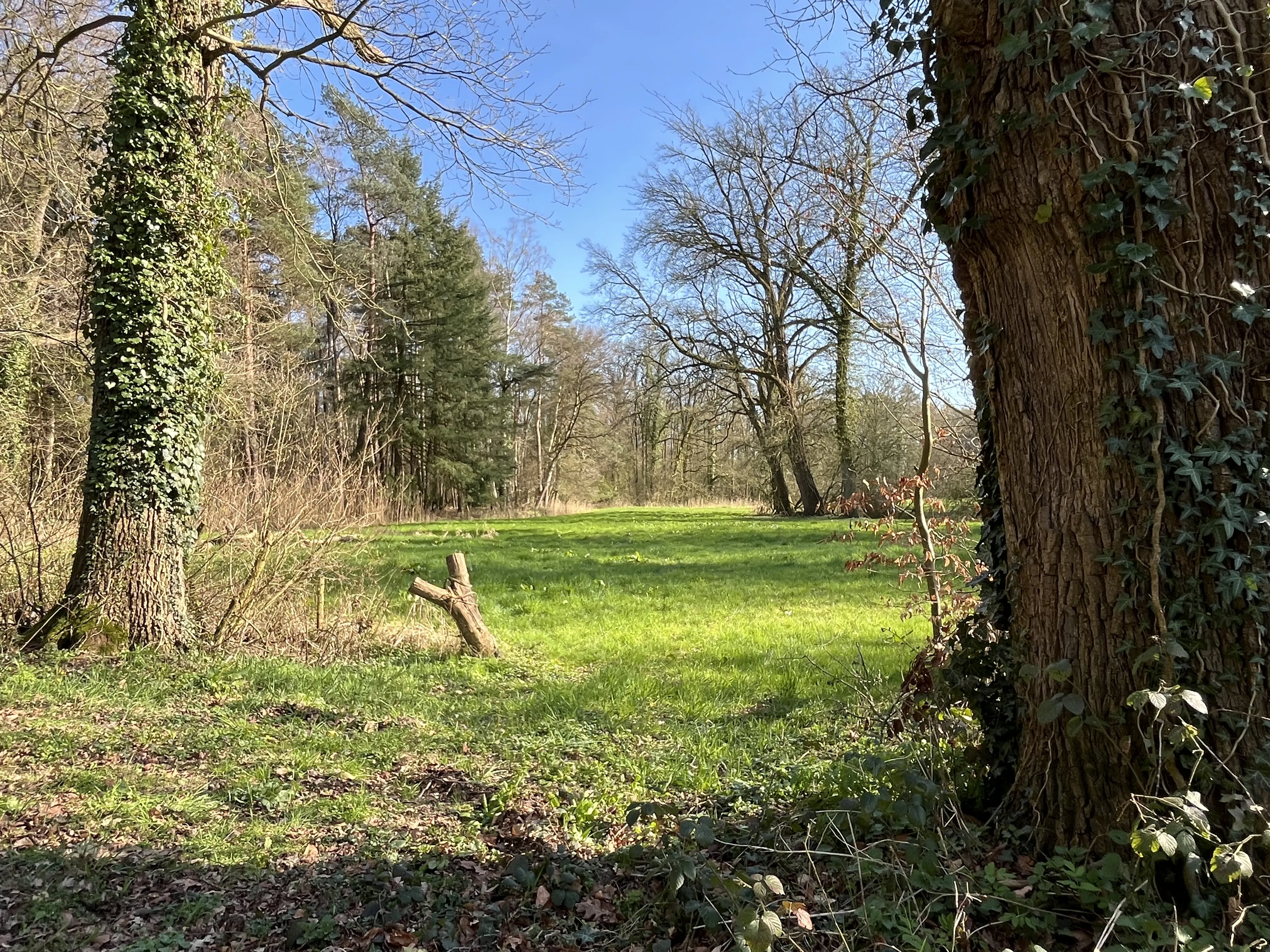 IMG_5106 - Groene weide bij Chaamse Beek ter hoogte van Landgoed Valkenberg