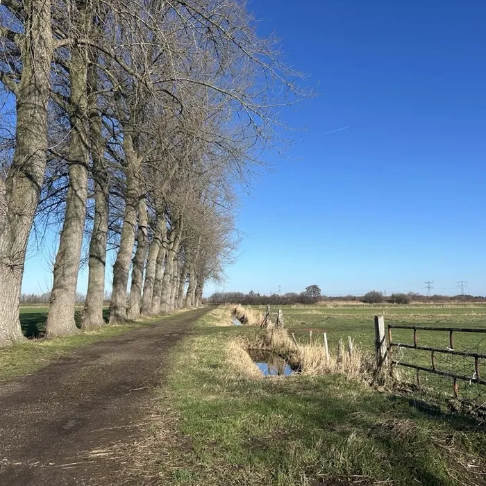 Huidige situatie