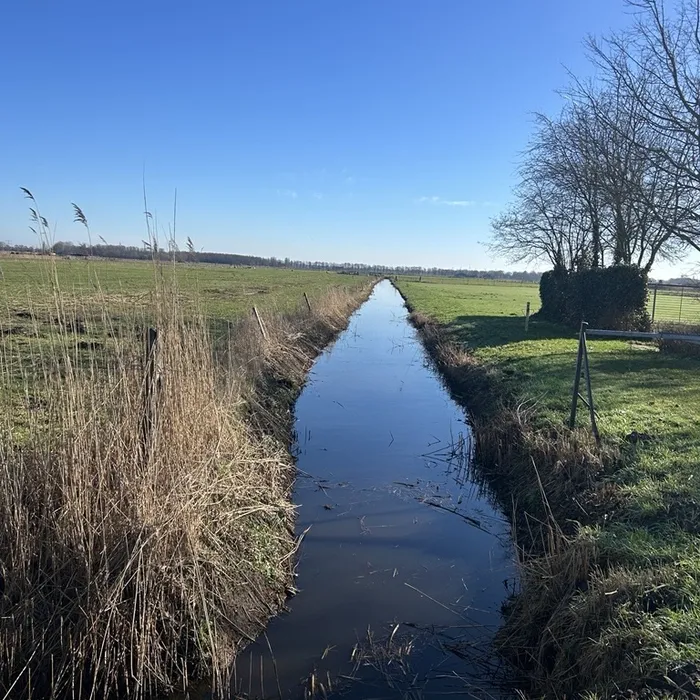 Huidige situatie