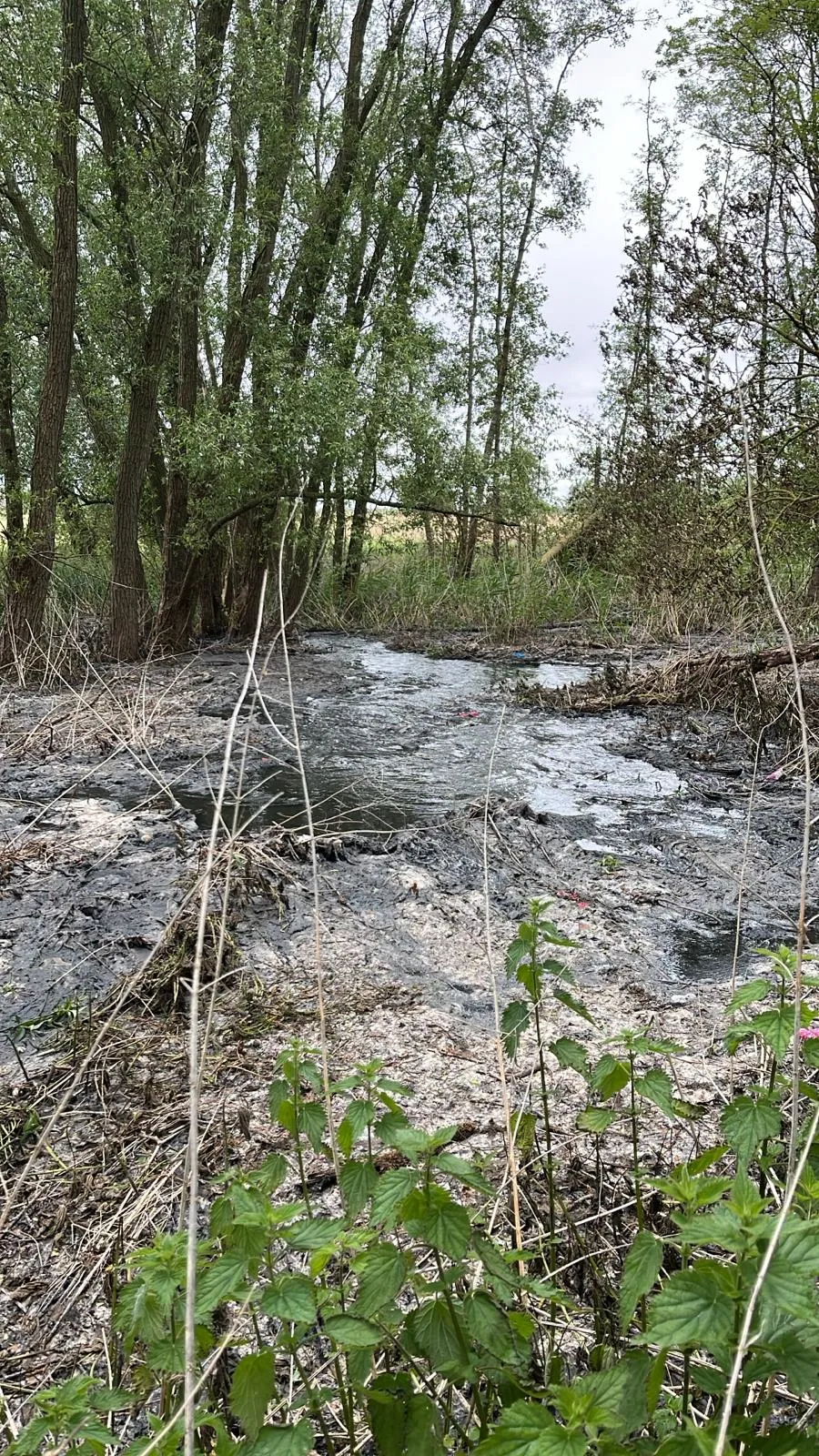 Breuk in persleiding in buitengebied tussen Steenbergen en Kruisland
