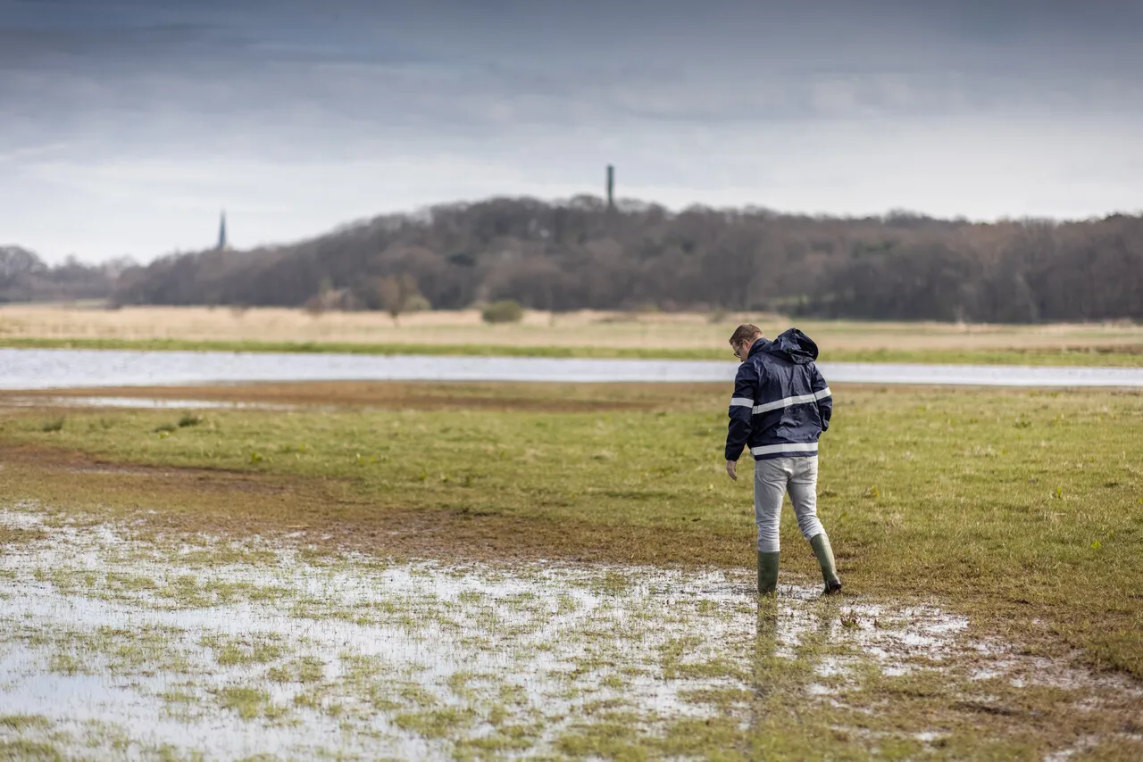 Schoon en gezond water