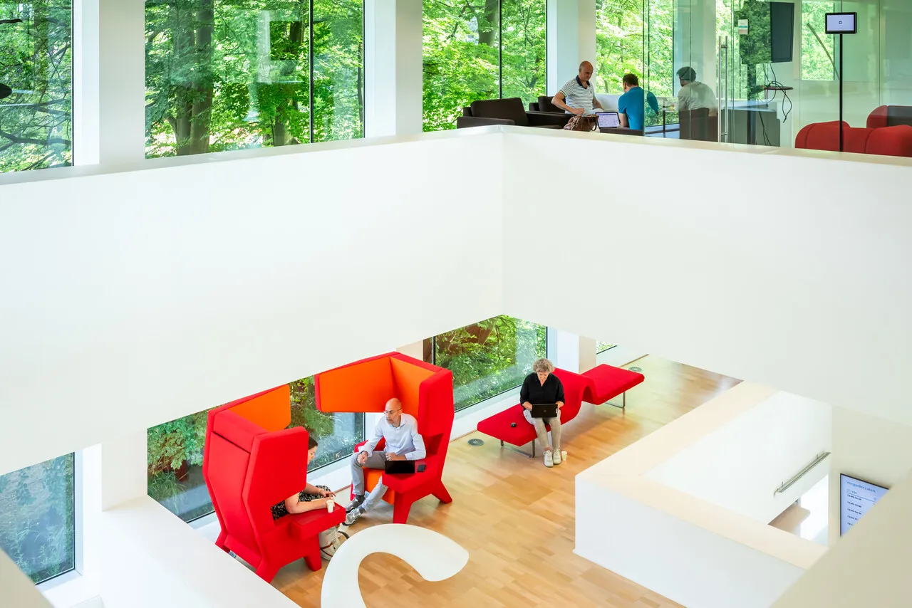 Organisatiestructuur