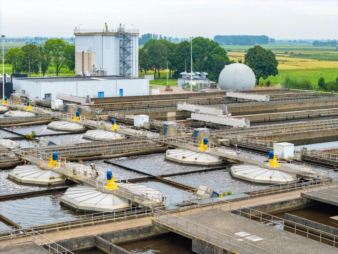 Rondleiding Rioolwaterzuivering Nieuwveer (18+): Leven met Water