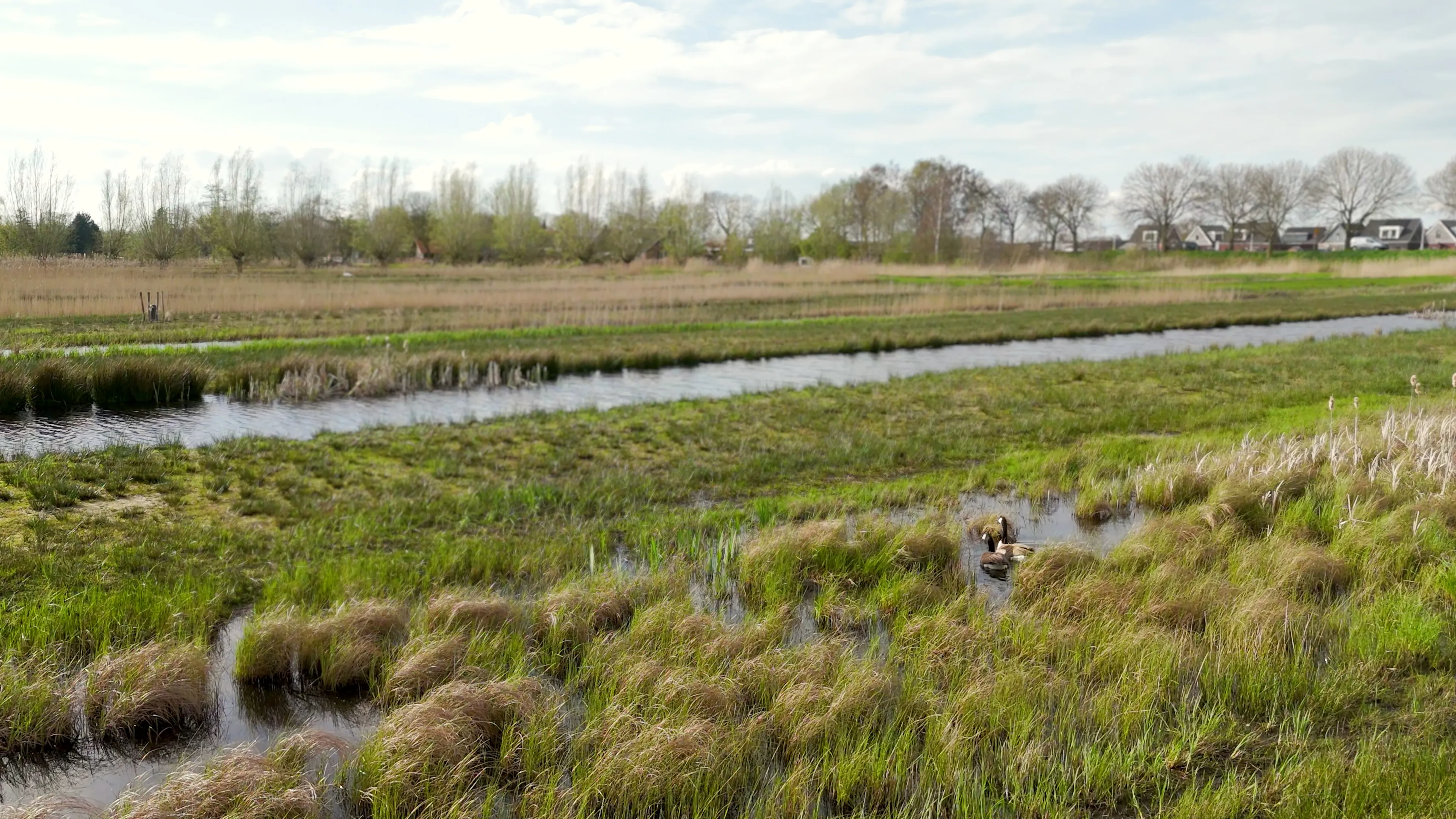 Water en bodem sturend