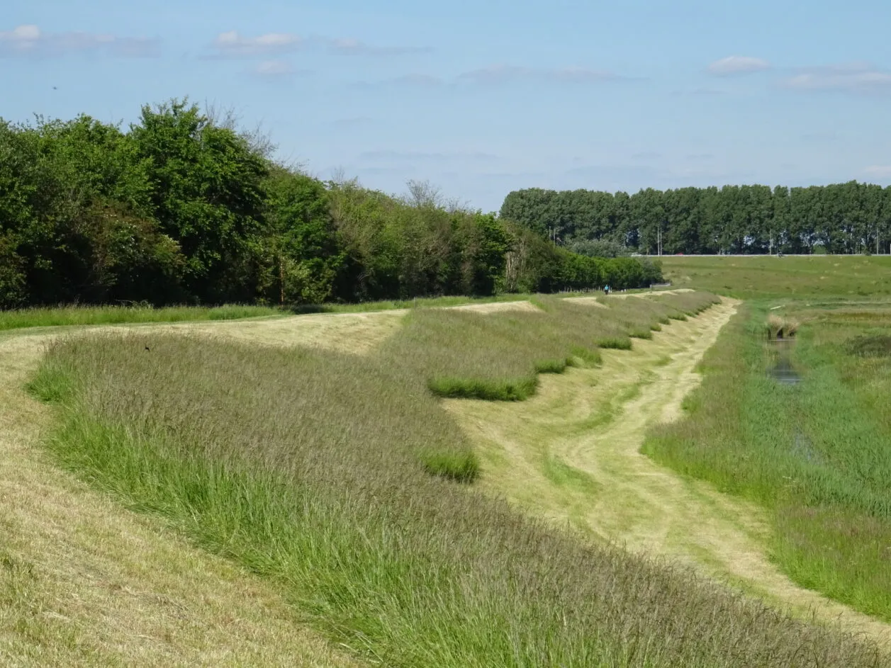 Maaien op de dijken