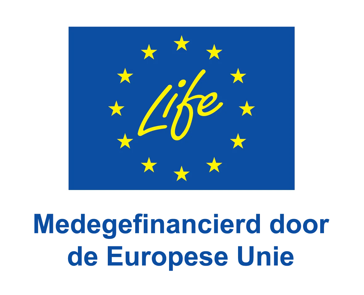 Medegefinancierd door de Europese Unie