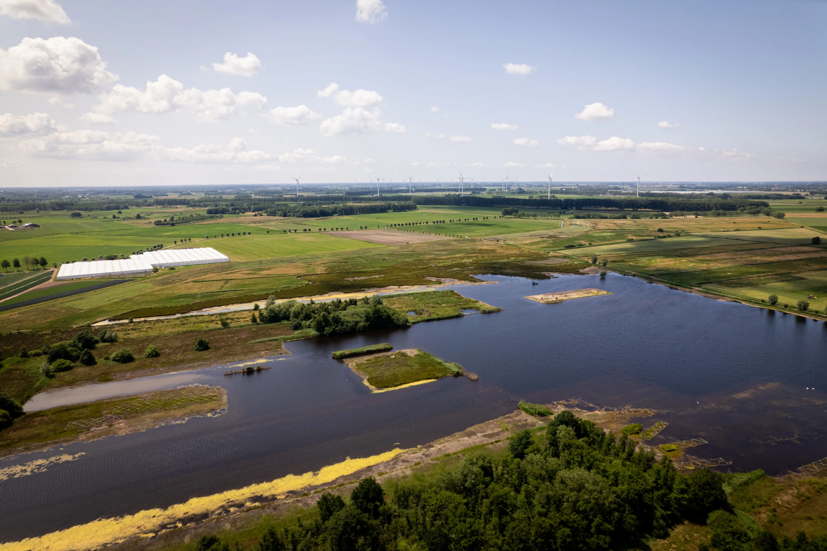 Natuurontwikkeling in Weimeren met water