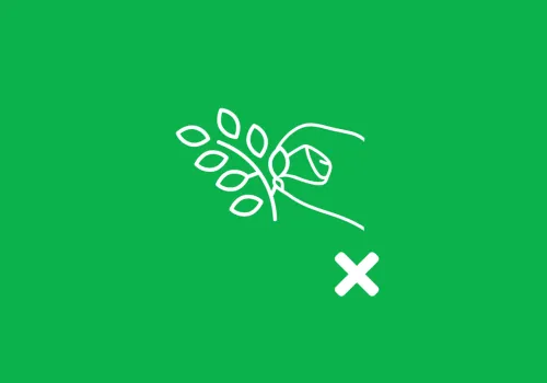 Laat planten en bomen met rust