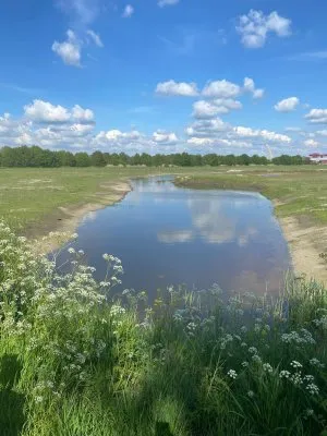 Subsidie voor het verflauwen van oevers