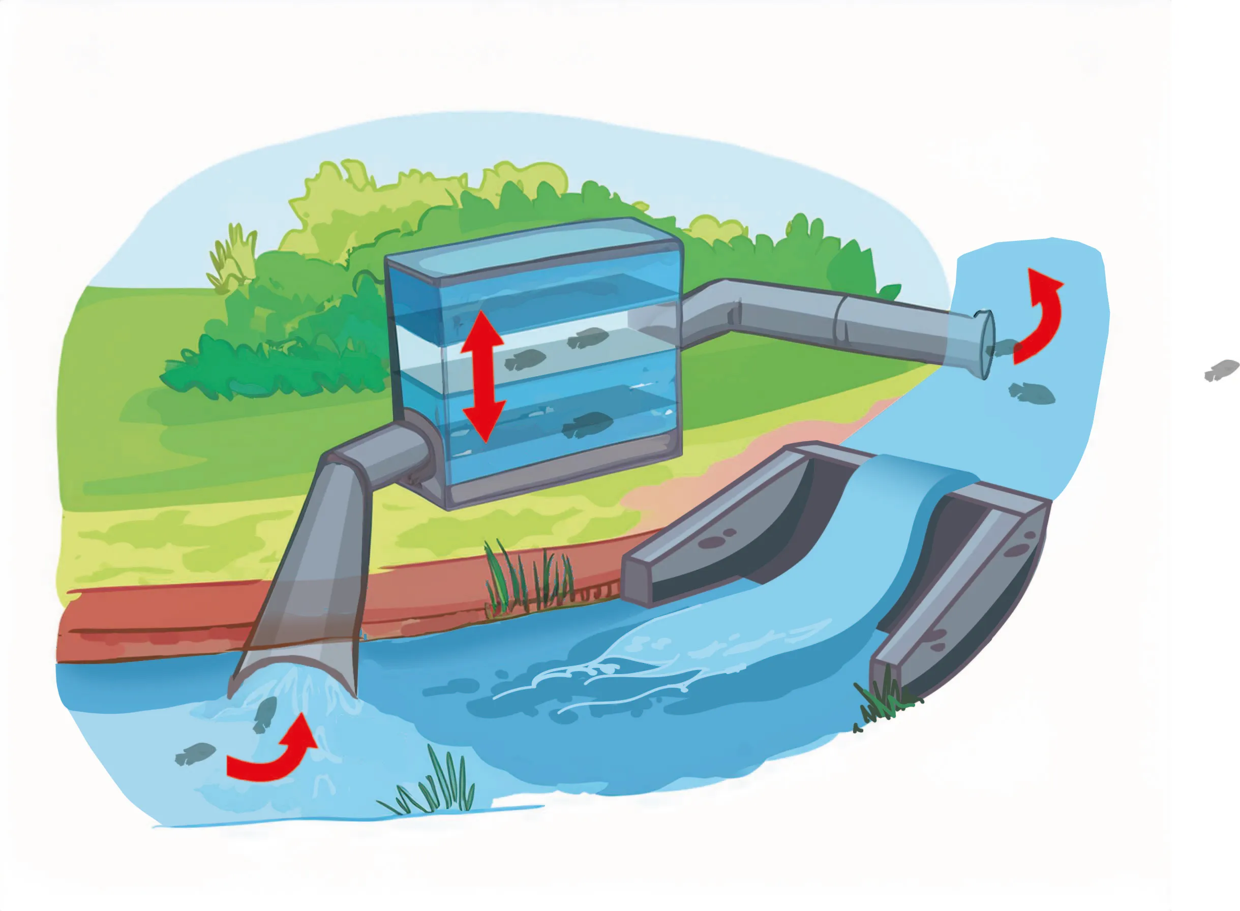 Vissluis illustratie