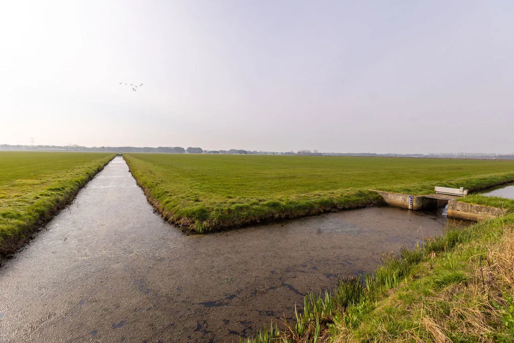 Tips voor een gezonde sloot