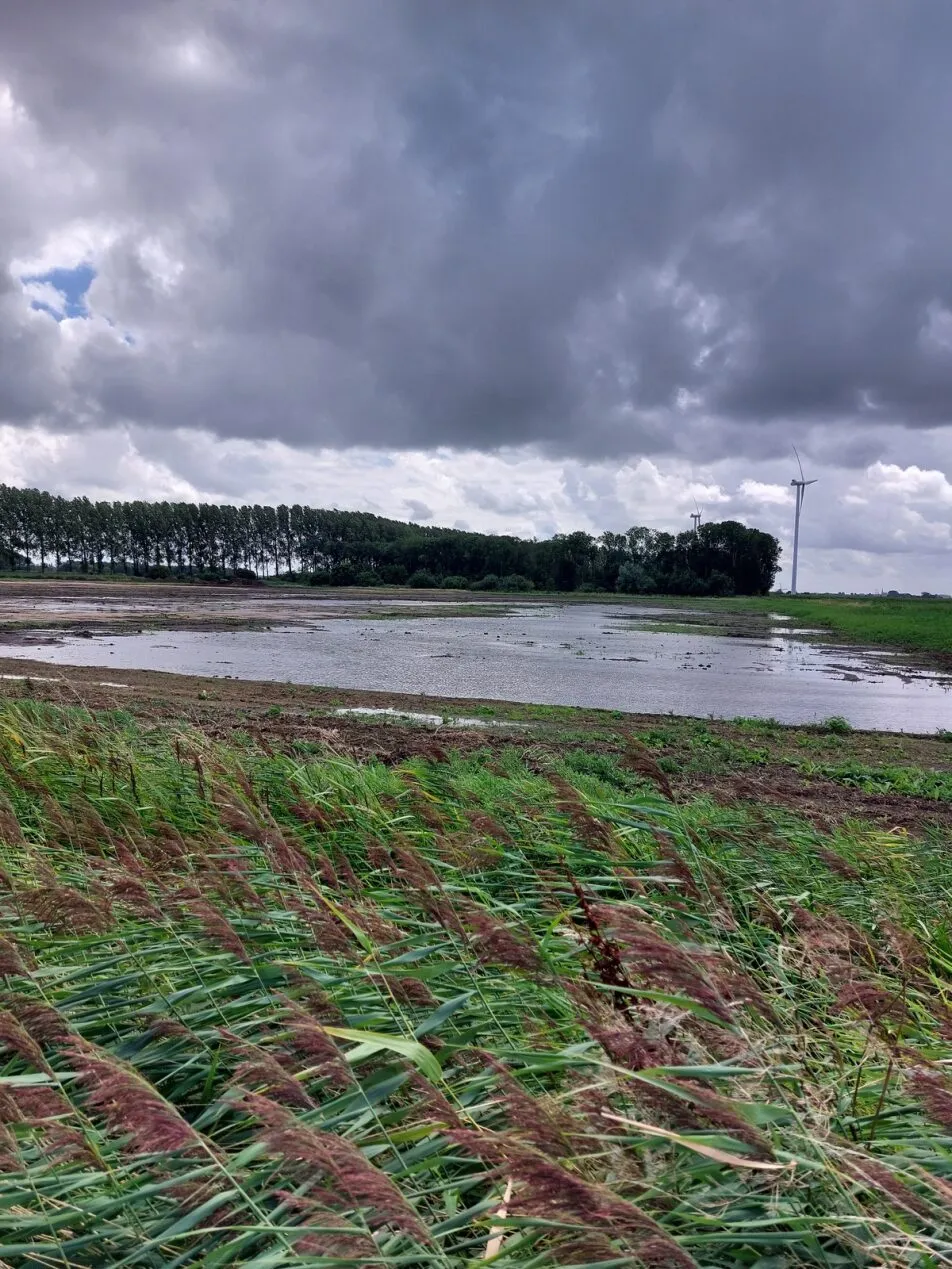 Zwartenbergse Polder