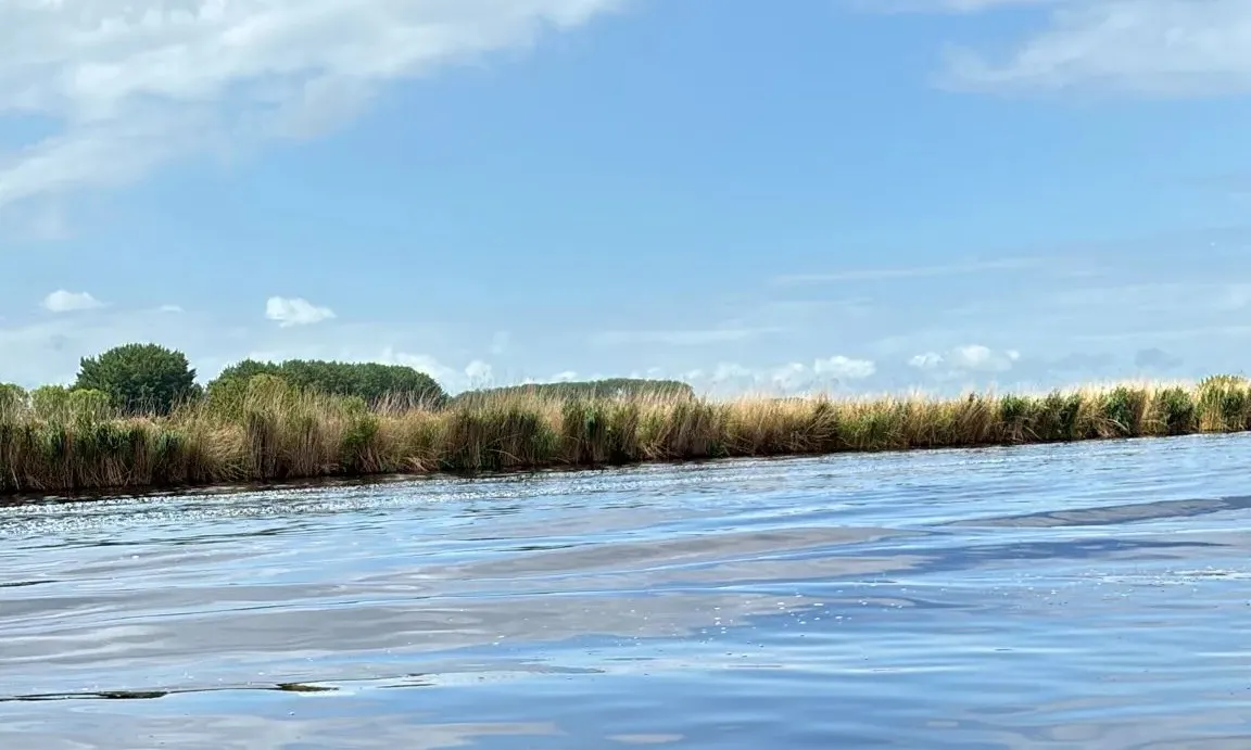 Zwart water Steenbergsche Vliet