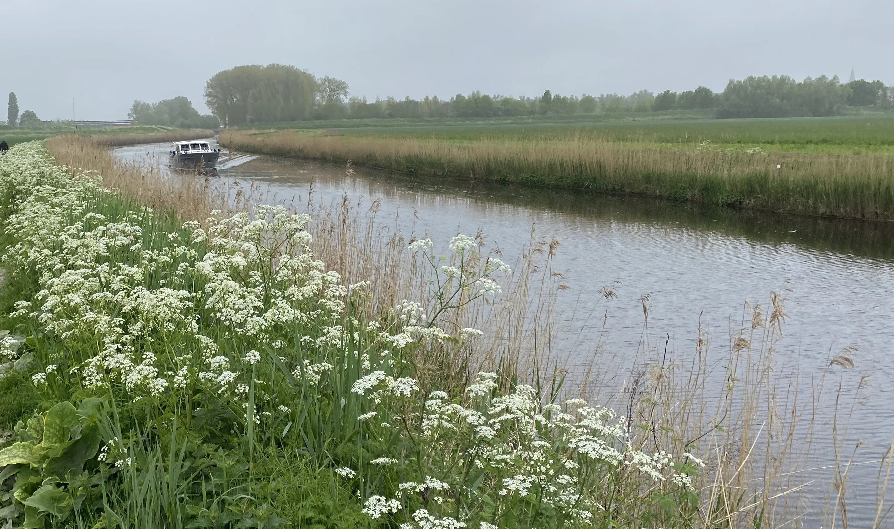 afbeelding-20230508-074600-cb3101b8_2_0 (1)